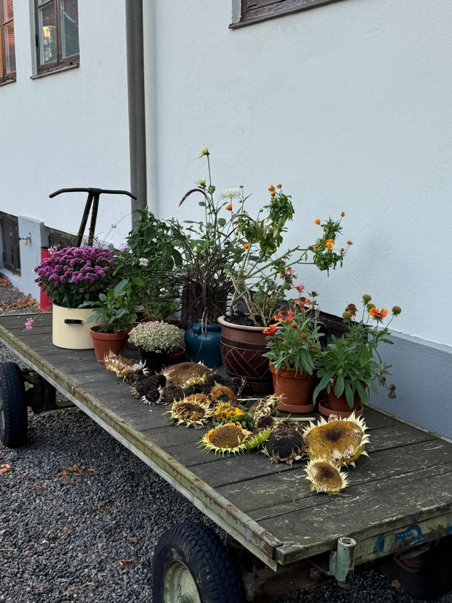 Stf Landskrona Hostel Ландскруна Екстер'єр фото
